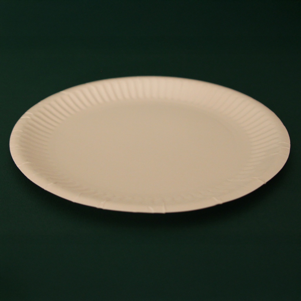 Assiette en carton 15 cm  100 pcs