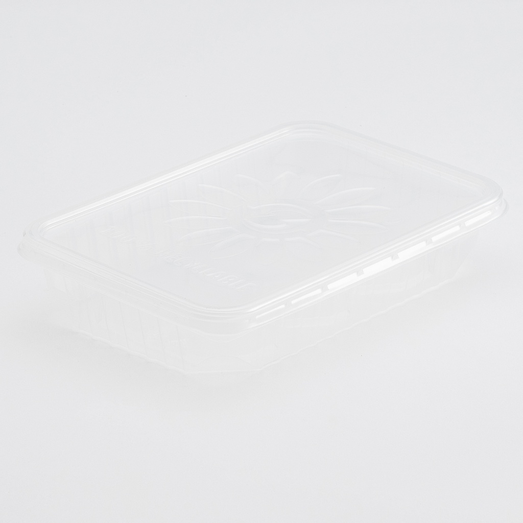 Plastiek Bak RH 500 cc Micro Euroboxx  (550) 50 st