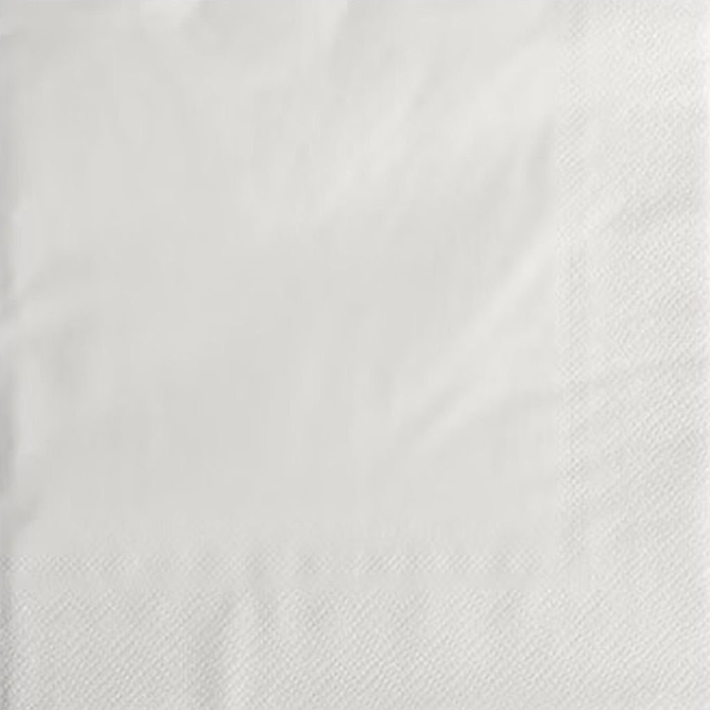 Servet Wit (33x33cm) 1 lg 500 st