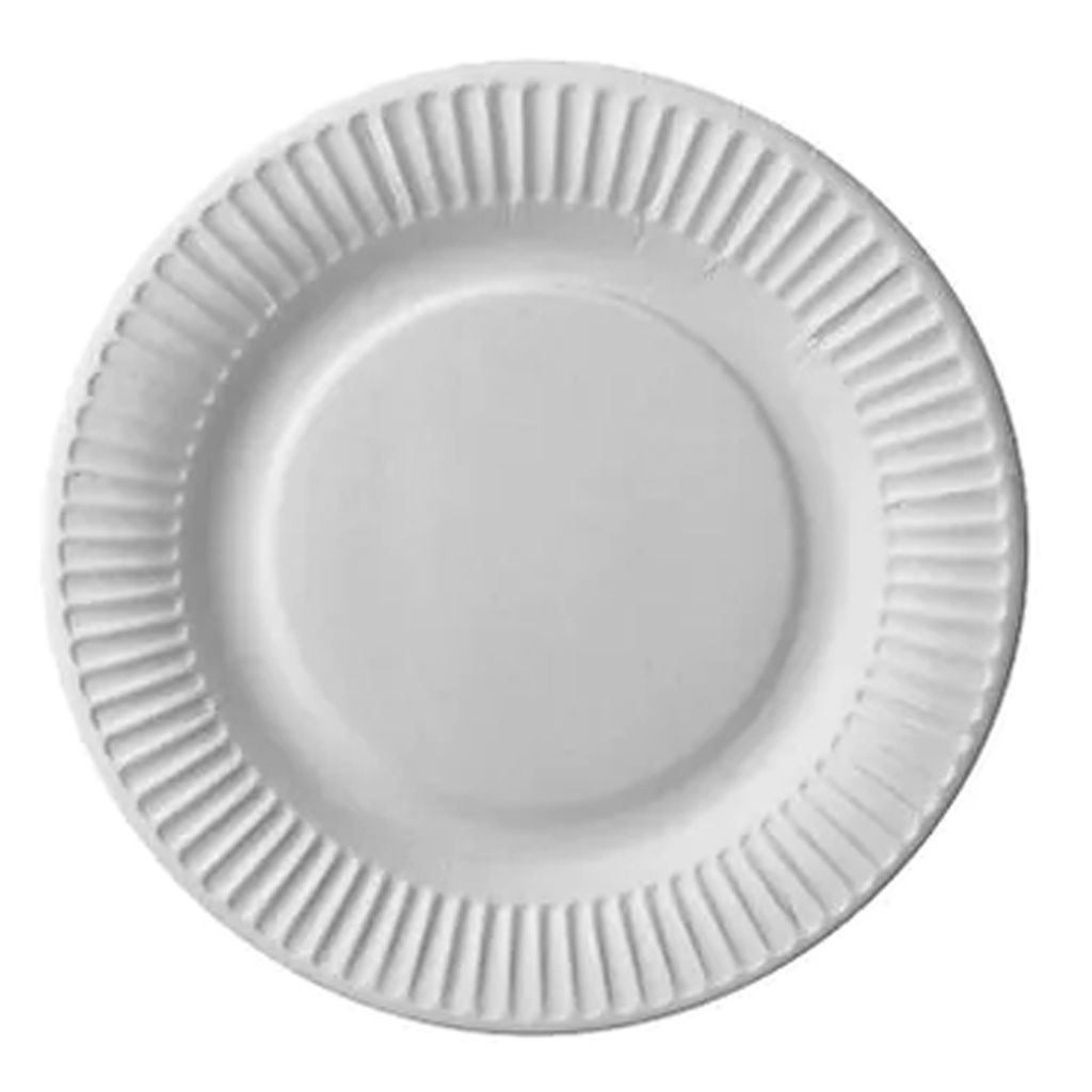 Assiette en carton 18 cm 100 pcs