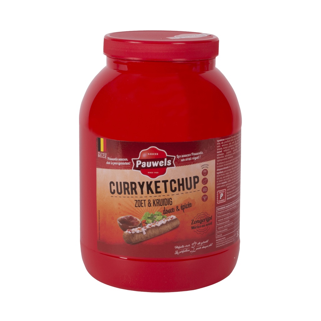 Curry Ketchup Pauwels Pet 3 L