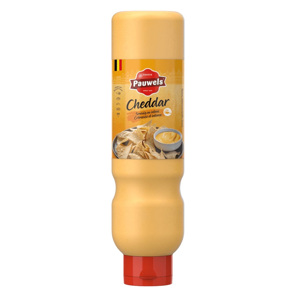 Sauce Cheddar (Chaud/Froid) Pauwels 1 L
