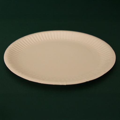 [12772] Bord 15 cm Karton 100 st