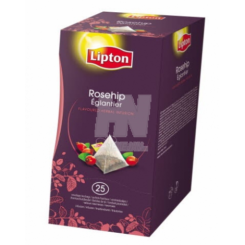 [6967] Lipton Thee Bosvruchten Pyramids Excl. Sel. 25 st