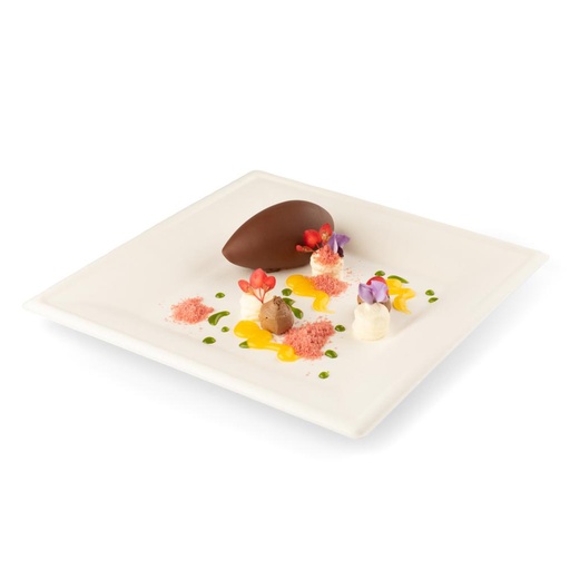 [15565] Suikerriet Bord Vierkant 26cm Sier 40st