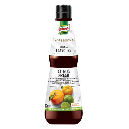 [15505] Prof Citrus Fresh Smaakmaker 400ml Knorr