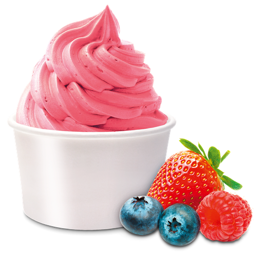 [4379] Yaourt Glacé Fruits des Bois One Shot 18 x 160 ml