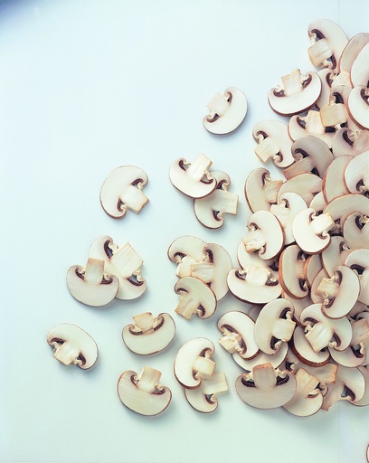 [5025] Champignons Gesneden Hotel Ardo 2,5 kg