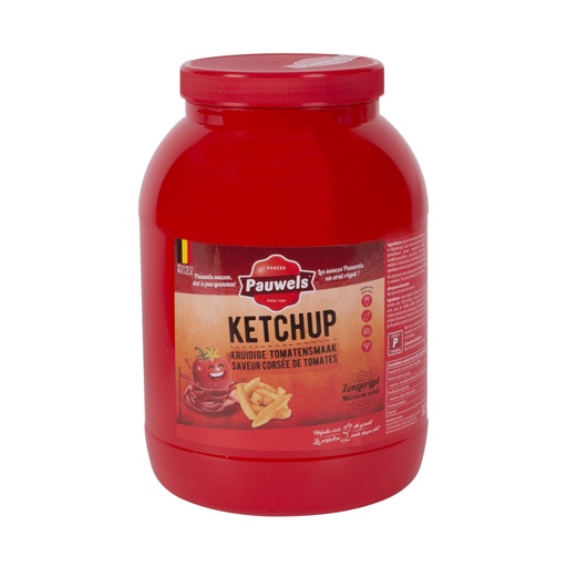 [5356] Tomates Ketchup Pauwels Pet 3 L