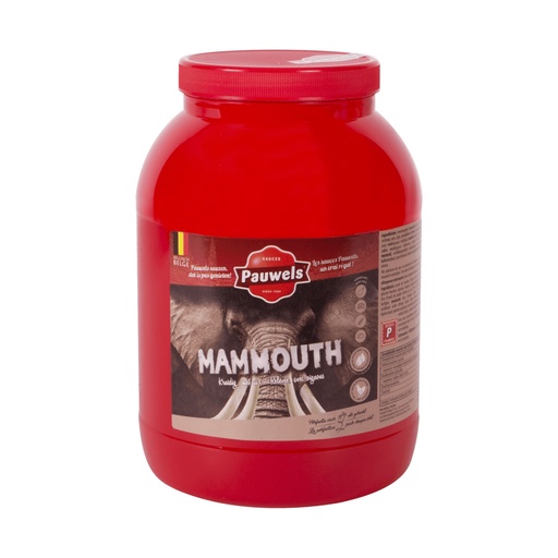 [1434] Mammouth Saus Pauwels Pet 3 L